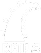 Expert Image